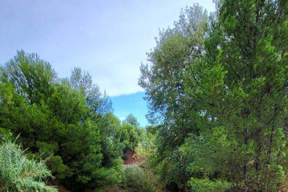 Imagen del Barranco del Pedret, en Reus.