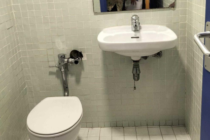 Imatge d'un dels lavabos del centre quan un treballador es va trobar una rata a la cisterna.