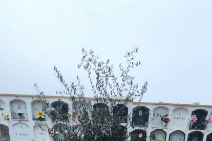 «El árbol de los recuerdos» del Cementerio Municipal de Creixell.