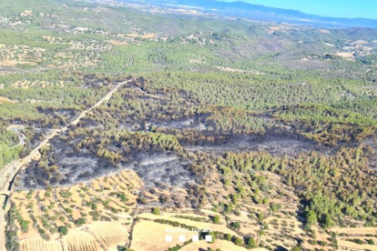 Imatge aèria de la superfície cremada en l'incendi de Vespella de Gaià i la Nou de Gaià.