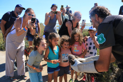 Un agente rural muestra un ratonero que se ha liberado en la novena edición del Delta Birding Festival.