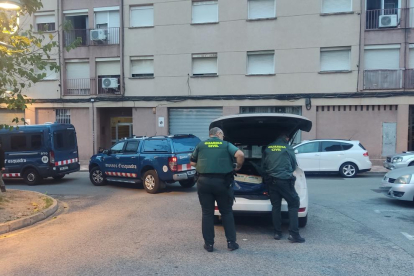 A l'interior dels immobles es van detenir onze integrants de l'organització criminal i es van intervenir diversos telèfons mòbils d'alta gamma, 3.000 euros en metàl·lic, així com diversos documents d'identitat i targetes de crèdit a nom de tercers.