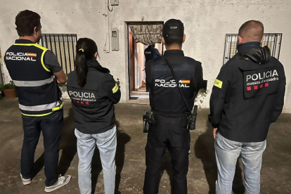 Agents dels Mossos i la Policia Nacional en una de les entrades que s'han dut a terme en el marc de l'operatiu.
