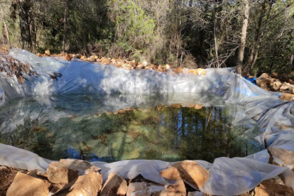 La plantació comptava amb diverses basses d'aigua construïdes i una xarxa de canonades que baixaven fins al riu Brugent on amb l'ajuda d'una bomba d'aigua extreien i pujaven l'aigua del riu