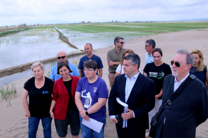 Representants de propietaris demandants, del Col·lectiu Ronda, tècnics i entitats del delta de l'Ebre que han donat suport a la demanda, fotografiats a la zona del Fangar.