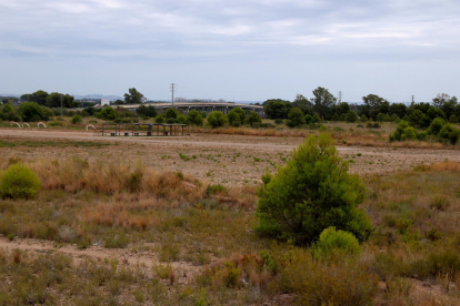 Imatge dels terrenys de Mont-roig del Camp on s'ha d'instal·lar l'empresa sud-coreana.