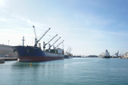 Les dades consolidades d'agost donen al Port de Tarragona com el segon que més creix del sistema portuari estatal.