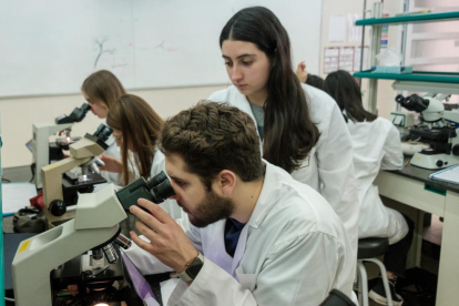 Estudiants al laboratori de la Facultat de Medicina i Ciències de la Salut de la URV.