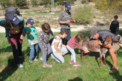 Participants de la ruta 'Un dia fent de pastor' munyint una cabra.