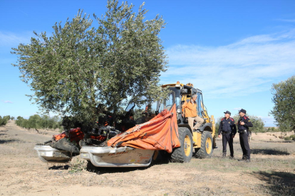 Una patrulla de los Mossos d'Esquadra hace prevención de robos en campos de olivos en la Floresta.