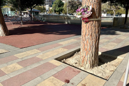 Ram de flors que dues noies han enganxat a l'arbre on va rebre una agressió mortal amb arma blanca un veí de l'entorn de la plaça Pep Ventura de Badalona.