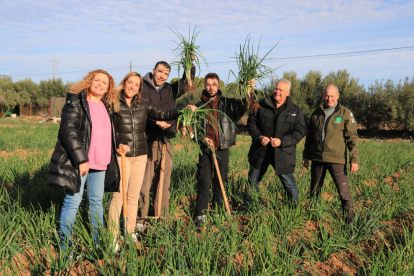 Els integrants de Figa Flawas, acompanyats per autoritats i membres de l'IGP, alcen un manat de calçots després de convertir-se en Amics de l'Autèntica Calçotada 2023-2024.