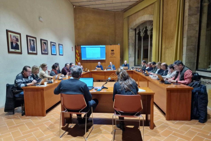 Imatge del ple del Consell Comarcal de la Conca de Barberà.