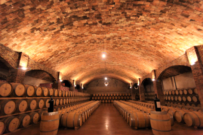 Imatge de tines al celler Castell del Remei, de la DO Costers del Segre