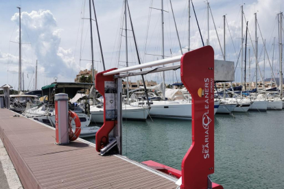 Skimmers al Port de Tarragona.