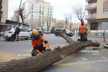 Dos operaris talant un arbre al carrer Ramon i Cajal de Tarragona.