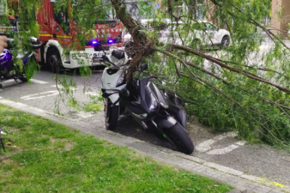 Imatge de dues de les motocicletes afectades per la caiguda d'una branca d'un arbre al carrer Enric d'ossó de tarragona.