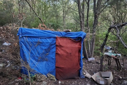 Tenda habilitada en la plantació localitzada a La Febró.