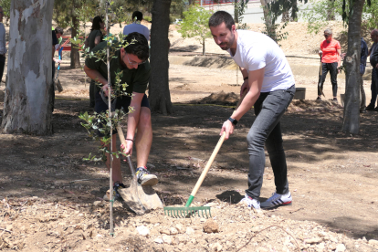 Dos treballadors del CAT plantant un arbre.