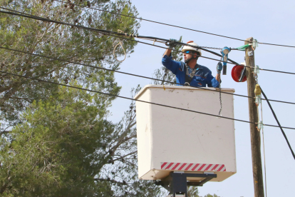 Un operari d'Endesa treballa en la substitució del cablejat convencional en cable trenat  a Montferri.