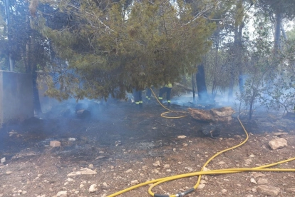 Imatge dels Bombers a l'incendi al Pla de Santa Maria