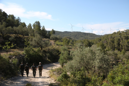 Quatre agents rurals recorren una pista que dona accés a la Picosa, a Móra d'Ebre.