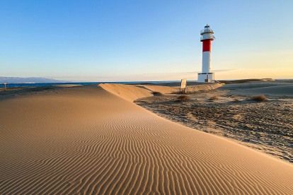 Imatge de les dunes de la platja del Fangar.