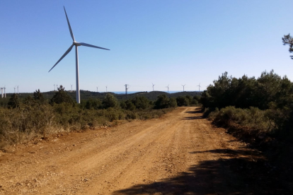 Camí preparat per al pas de maquinària a la zona on es construeix el parc eòlic la Collada II al Perelló.