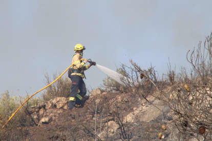 Un bomber treballa en l'extinció de l'incendi de la Figuera (Priorat).