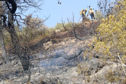 Imatge d'arxiu de l'incendi que mostra una branca encara fumeja mentre dos bombers remullen la zona afectada per l'incendi de la Figurera