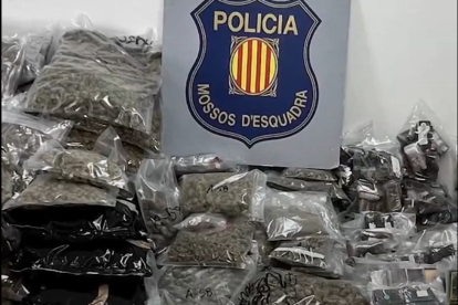 Imatge de la droga intervinguda pels Mossos d'Esquadra