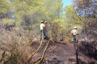 Imatge de l'incendi de vegetació a Vespella de Gaià