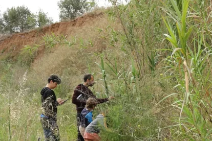 Tres participants durant el Bioblitz diürn