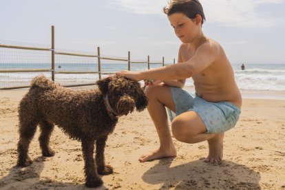 Gossos a la platja Llarga de Tarragona.