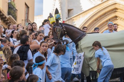 Baixadeta de l'Aligueta.