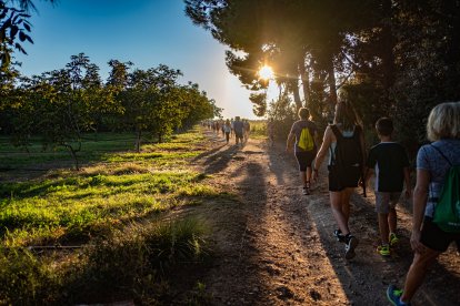 Imatge de la caminada popular de 2023.