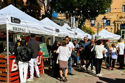 Imatge de la XIII Fira de la Cervesa Artesana de Torredembarra.