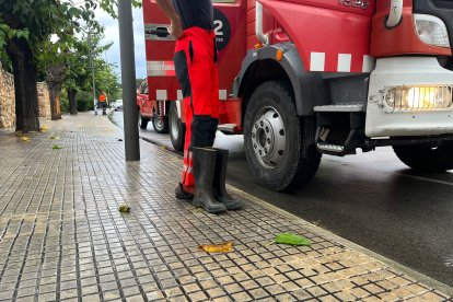 Bombers treballant a la Móra.