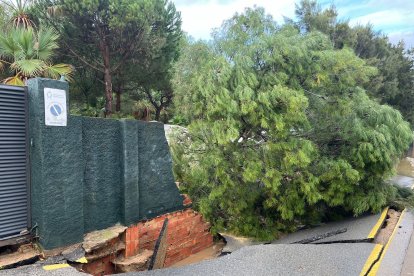 Afectacions a la zona del càmping de la Móra.