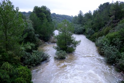 El barranc de Lloret baixa aigua del massís dels Ports al seu pas pel terme municipal de Roquetes.