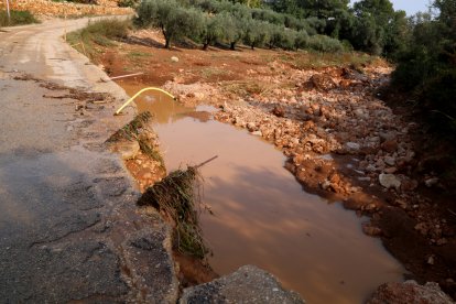 Camí afectat per les pluges a la zona de Favaret d'Amposta.