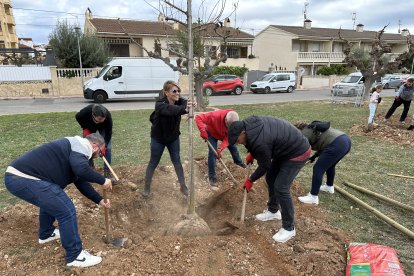 Imatge de la festa de l'arbre de 2023.