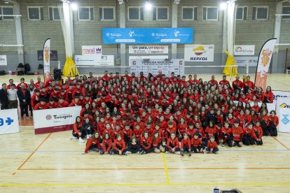 Planter del Club Voleibol Sant Pere i Sant Pau.