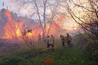 Els Bombers treballant en l'extinció de l'incendi