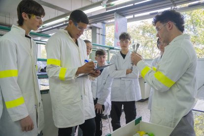 Teen’s Lab de BASF