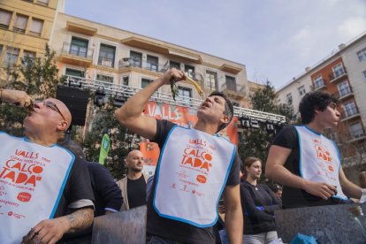 Gran Festa de la Calçotada de Valls.