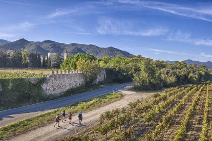 Imatge panoràmica d’arxiu d’un paisatge de la Conca de Barberà.