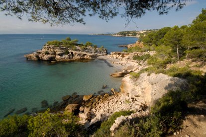 Imagen de la Cala de l'Illot de l’Àliga.