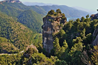 La creació del nou parc natural de les Muntanyes de Prades està prevista per a principis del 2026.