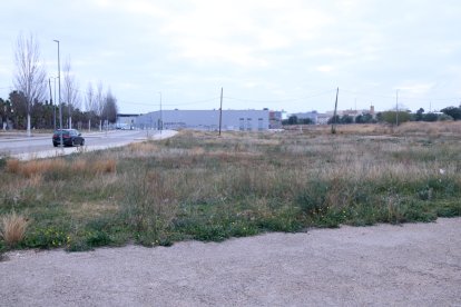Solar municipal d'Amposta on s'han d'ubicar les noves dependències dels Agents Rurals i la policia local.